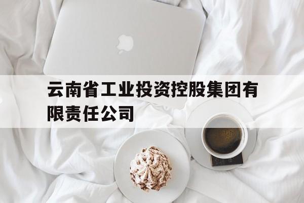 云南省工业投资控股集团有限责任公司(云南省工业投资控股集团有限责任公司杨书玮)