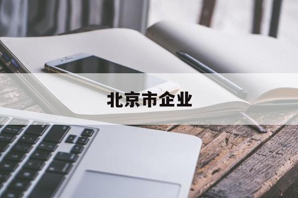 北京市企业(北京市企业年金怎么查询个人账户)