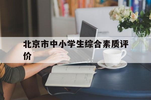 北京市中小学生综合素质评价(北京市中小学生综合素质评价平台)