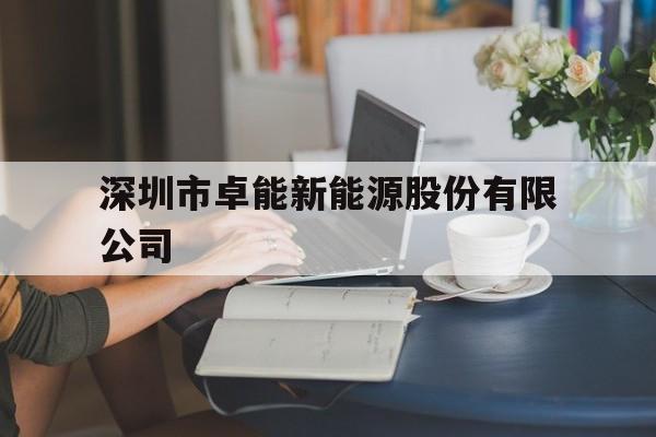 深圳市卓能新能源股份有限公司(深圳市卓能新能源股份有限公司官网)