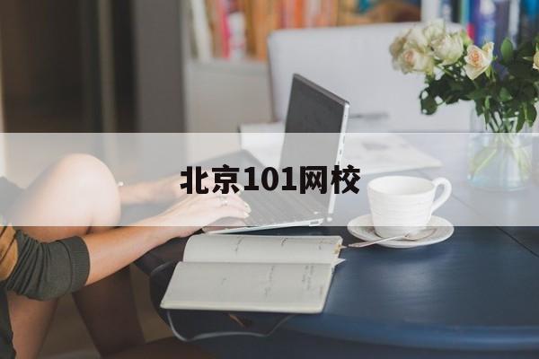 北京101网校(北京101网校官网下载)