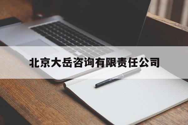 北京大岳咨询有限责任公司(北京大岳咨询有限责任公司待遇)