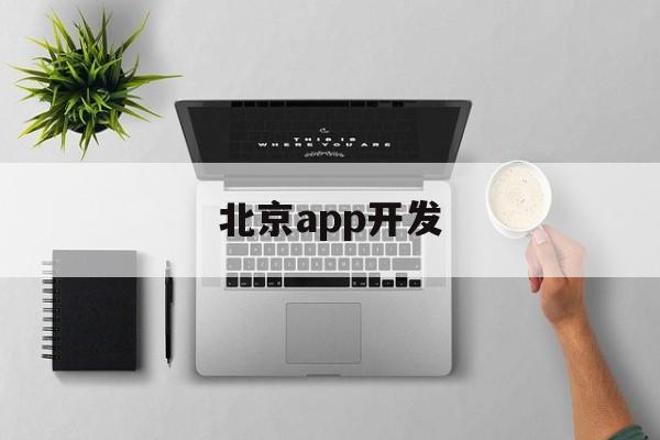 北京app开发(北京app开发公司用友YonMaker)