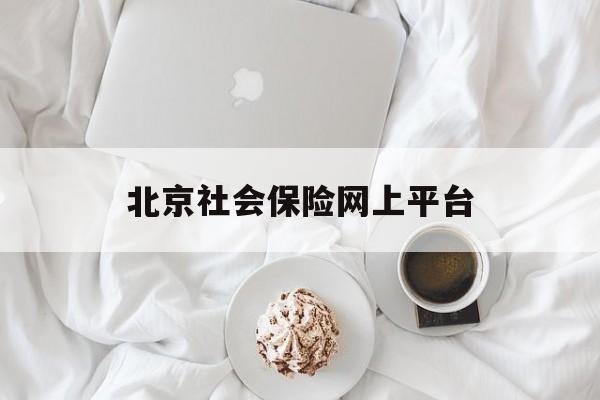 北京社会保险网上平台(北京社会保险网上服务官网)