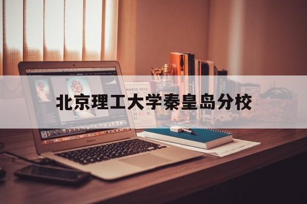 北京理工大学秦皇岛分校(北京理工大学秦皇岛分校分数)