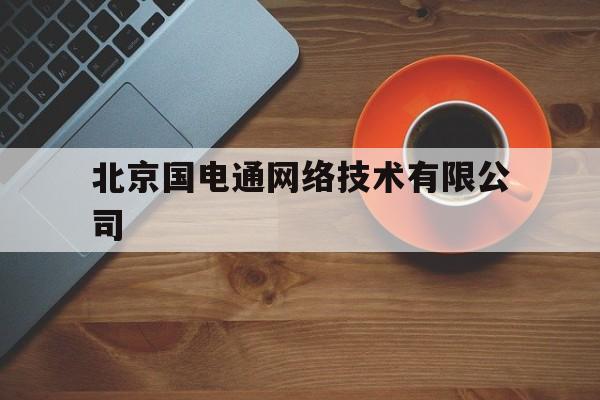 关于北京国电通网络技术有限公司的信息