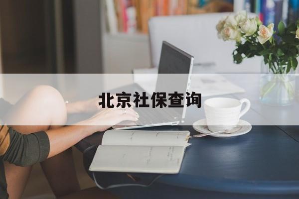 北京社保查询(北京社保查询官网app)